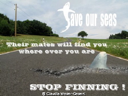 stop finning.... by Claudia Weber-Gebert 
